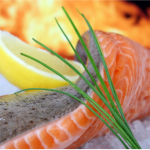 salmon