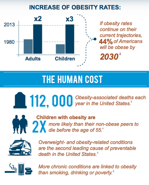 cost of obesity3