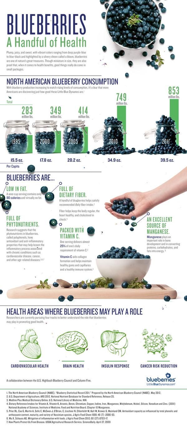 Blueberries_Infographic