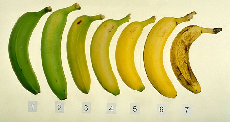 banana_stages