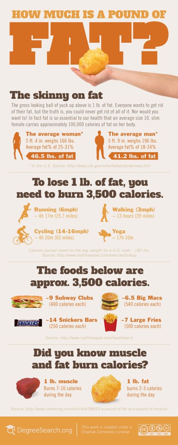 fat_infographic