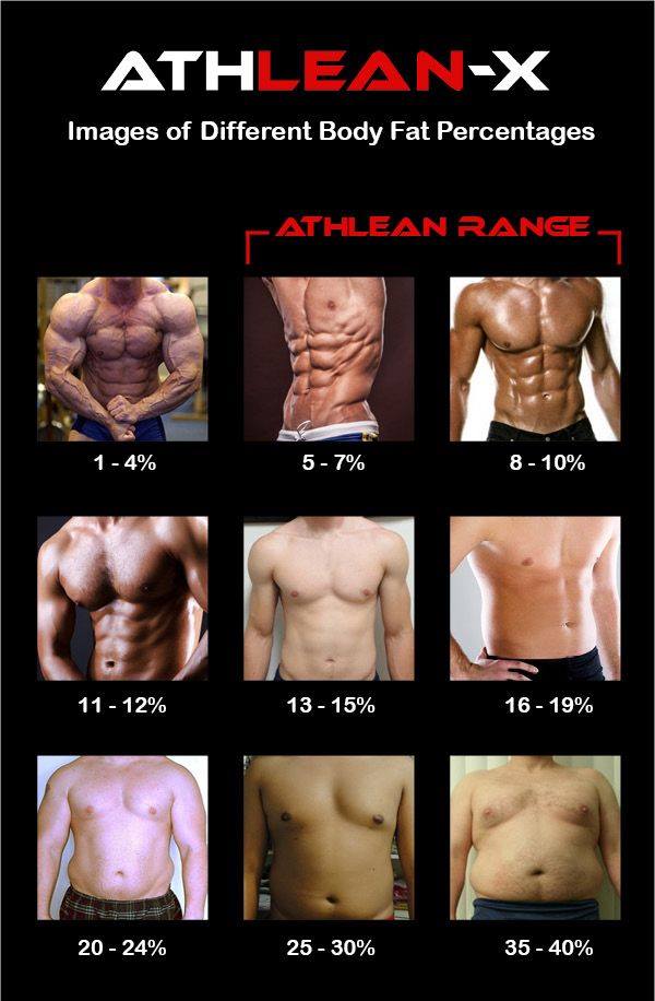 body fat percentage_men