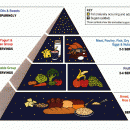 USDA’s Food Pyramid Replacement