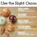 Use The Right Onion