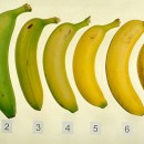 When To Eat a Banana