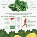 Health Benefits of Kale