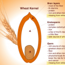 Whole Wheat Flour vs White Flour