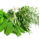 How to Store Fresh Cut Herbs