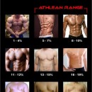 Different Body Fat Percentages for Men and Women